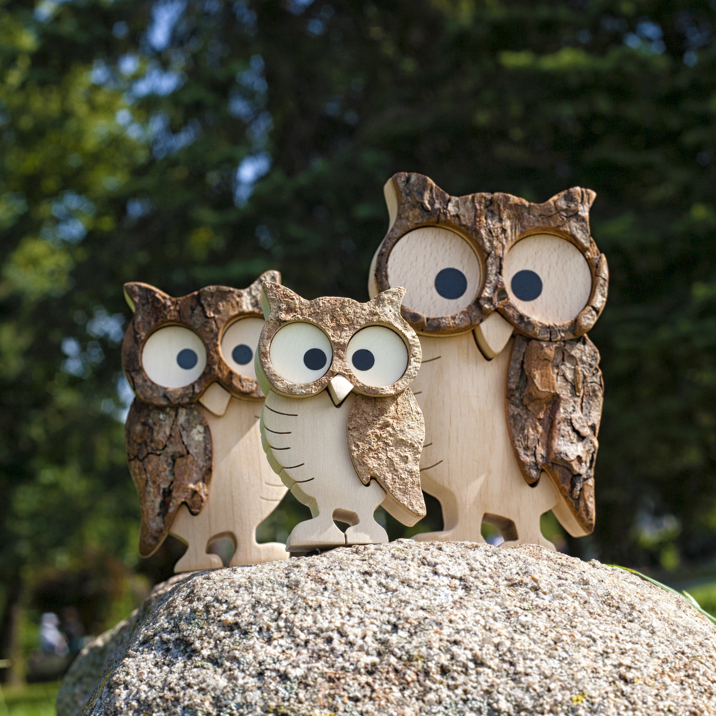 hardwood owls