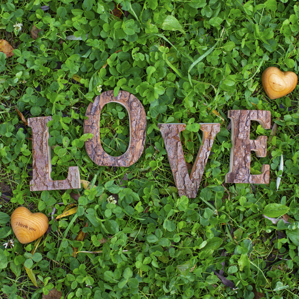 The word love is spelled out on the grass.
