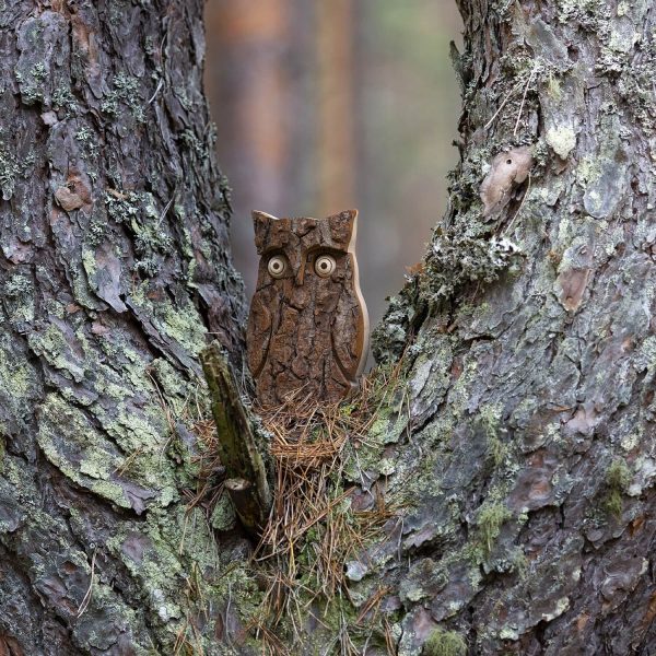 Owl Figurine for Home Decorations