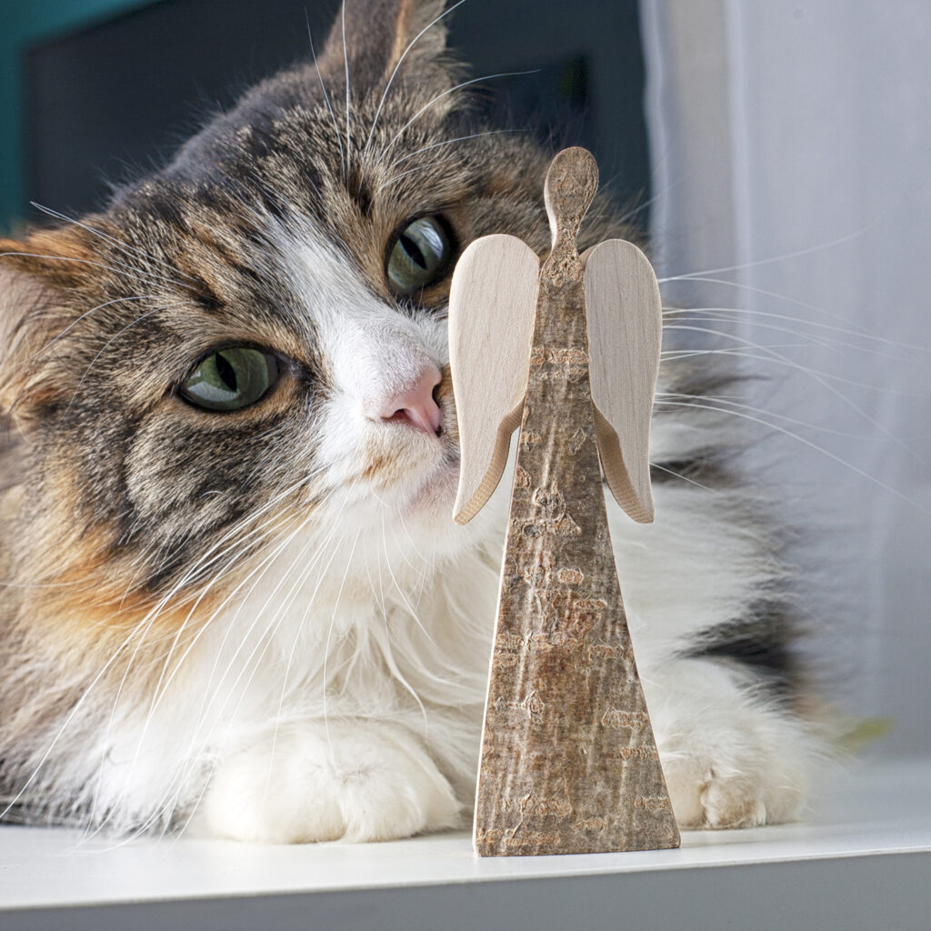 Cat staring at Wooden Angel Figurine