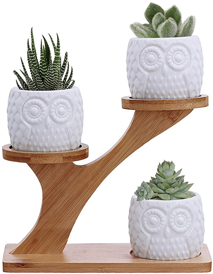 3-Piece Succulent Plant Pots