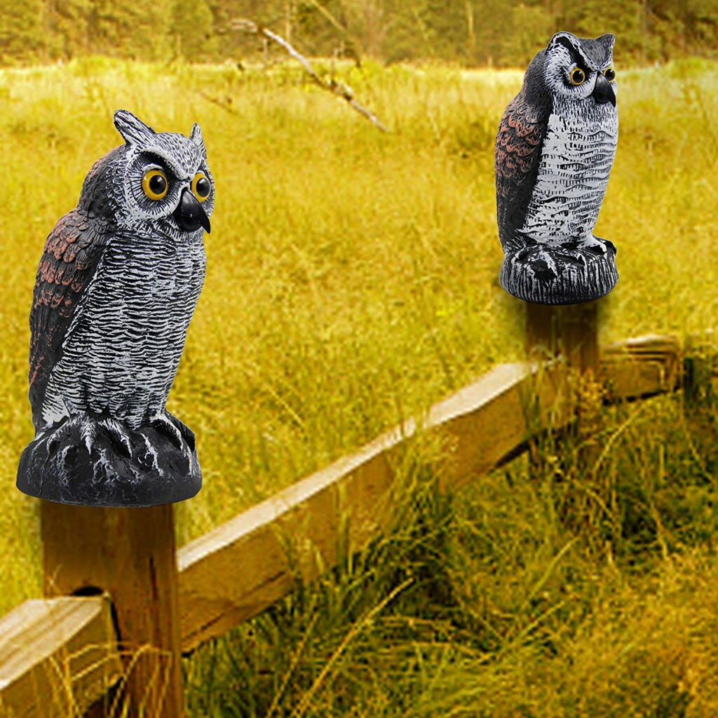 owl bird repellant garden protectors