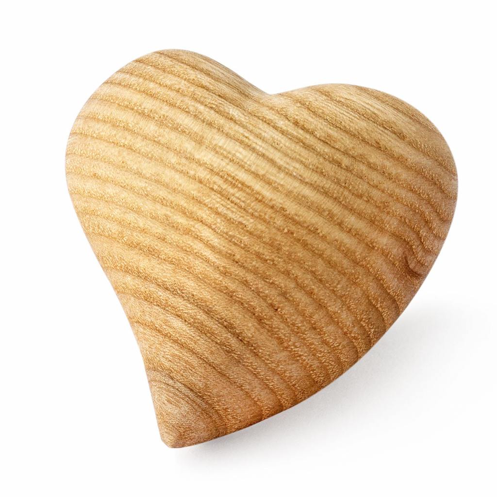 Wooden Heart Shaped Keychains - Forest Decor