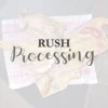 Rush Processing - Order Shipped within 24 hours
