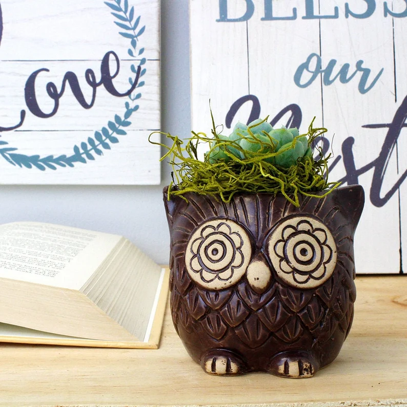 Owl Planter with Succulent Indoor Plant